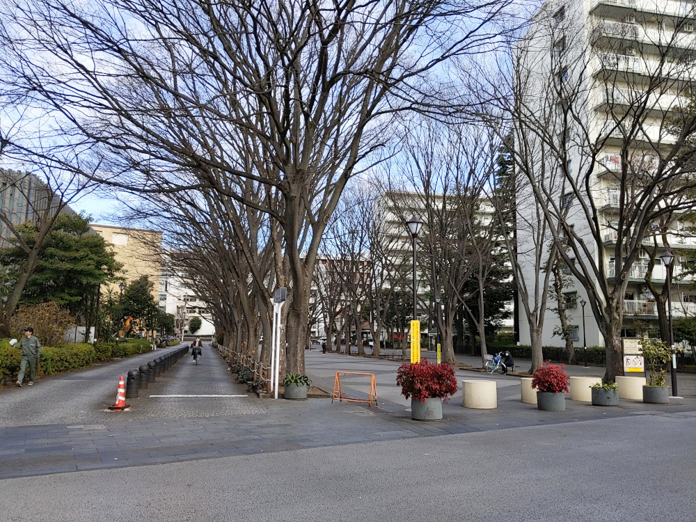 けやき広場