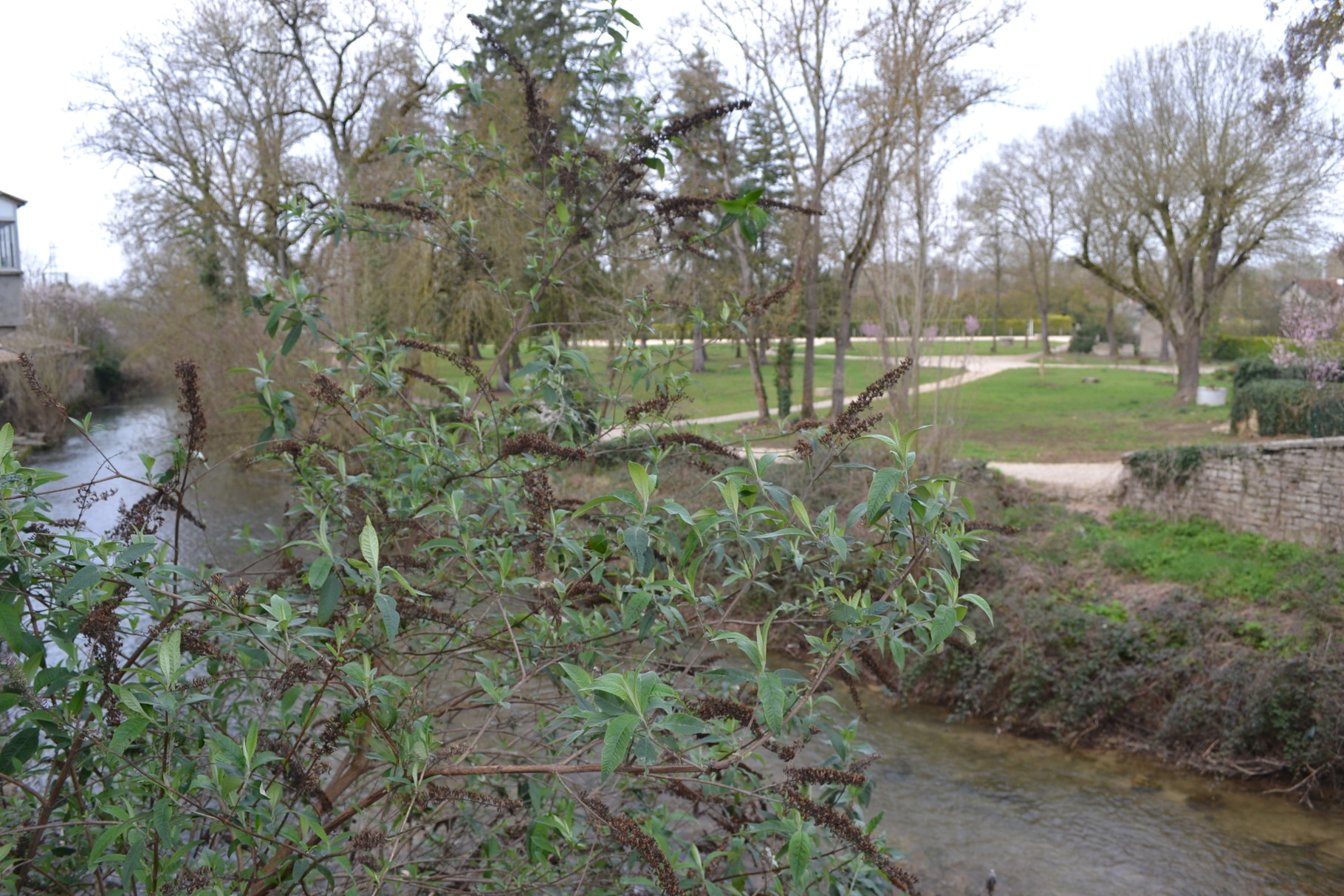 LA VILLE DE CAUSSADE Site de la chambre d'hôtes de charme LA CADANELLAU