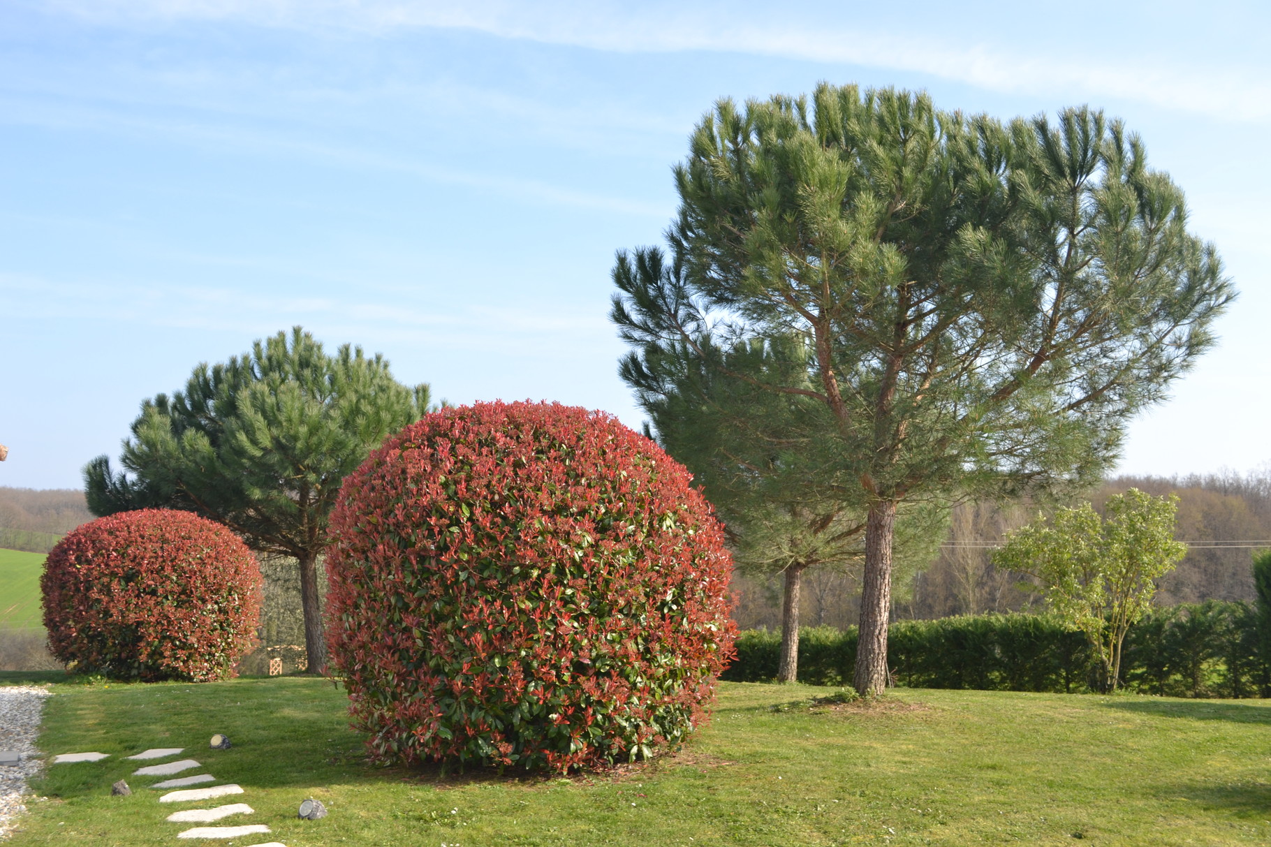 Les bosquets colorés du parc, 