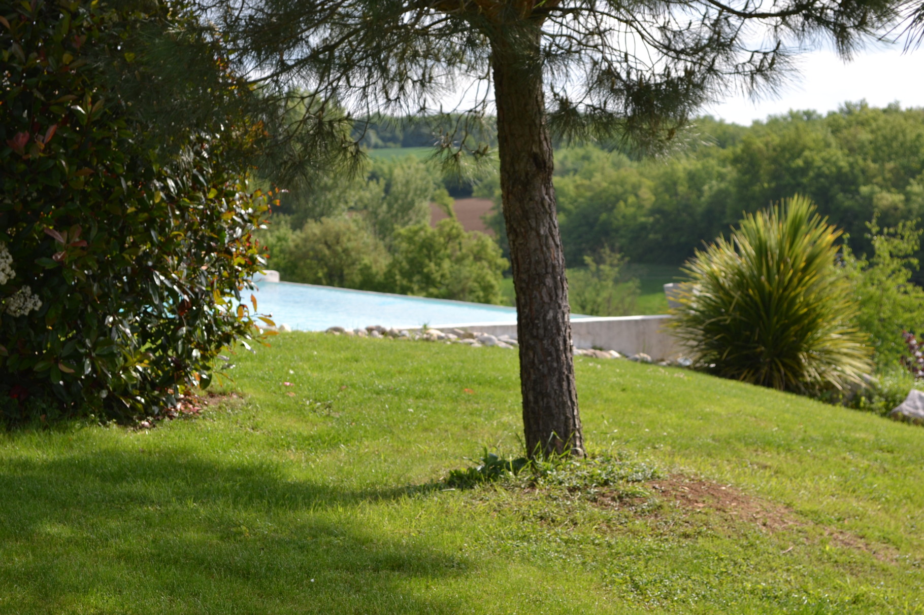 Vos pas vous entrainent ensuite sous les pins pour découvrir la piscine