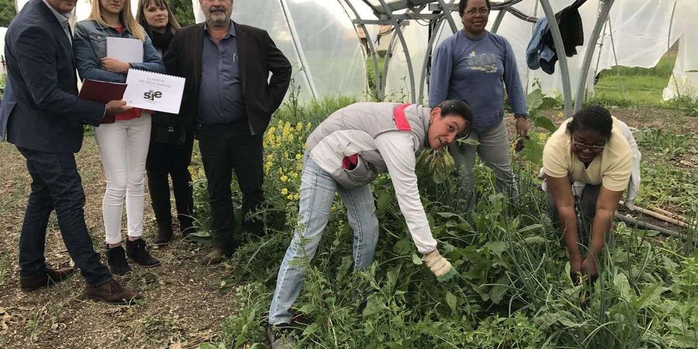 Vals de Saintonge : de la solidarité pour le maraîchage - SudOuest