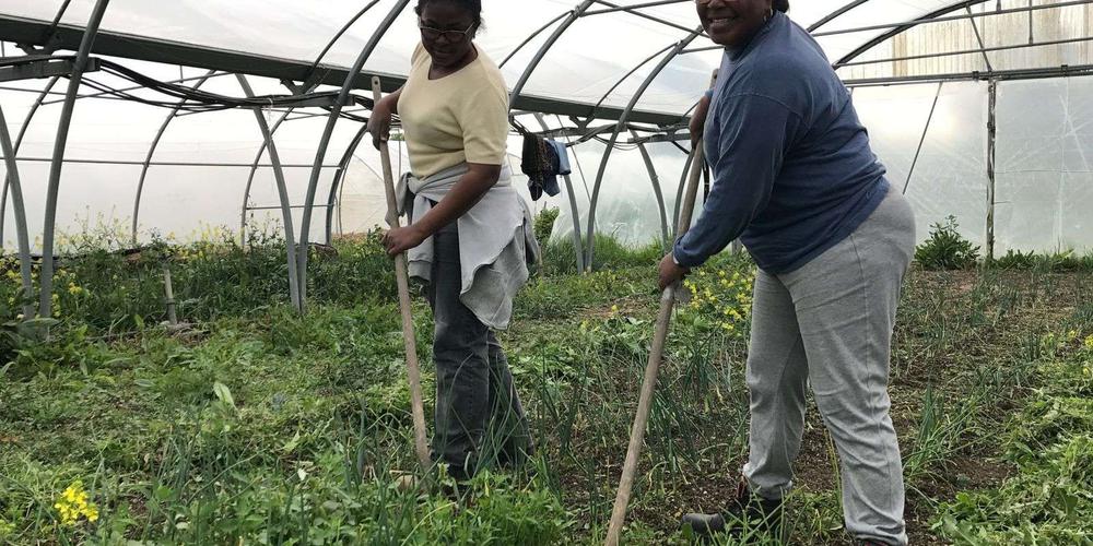 Saint-Jean-d’Angély : bonne nouvelle pour le maraîchage bio - SudOuest