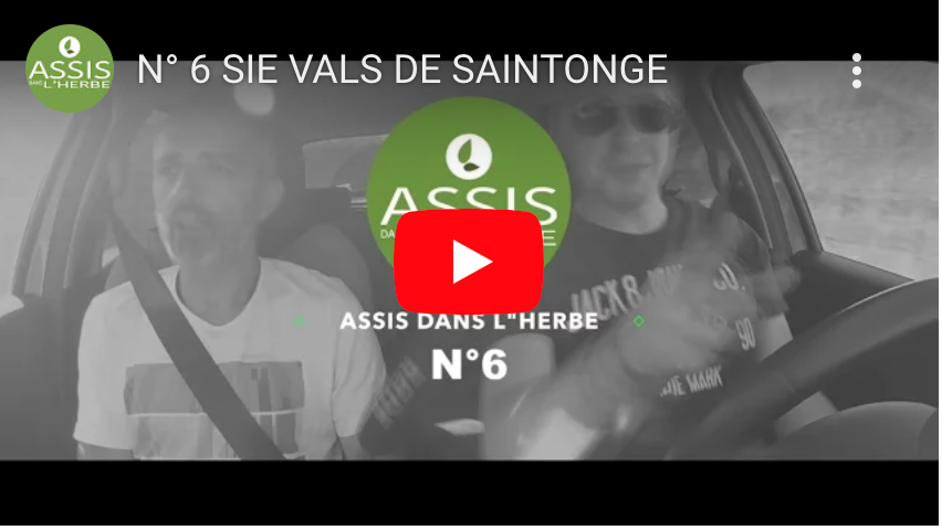 Assis dans l'herbe: N° 6 SIE VALS DE SAINTONGE