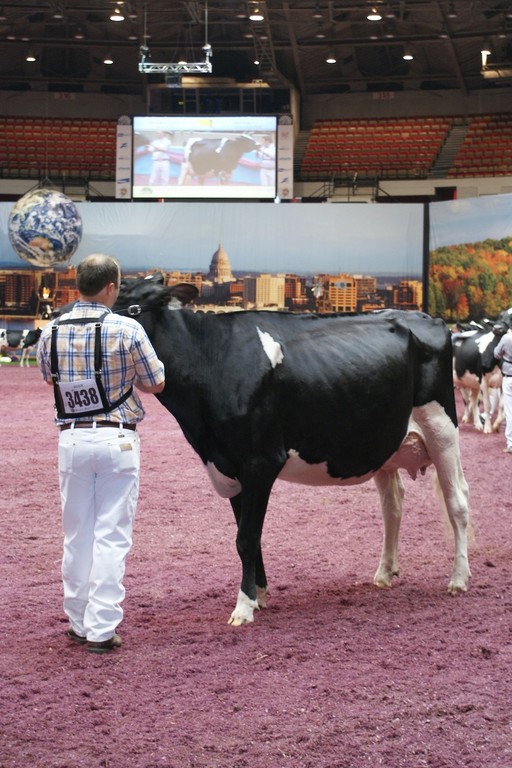 Goldwyn BuckUp