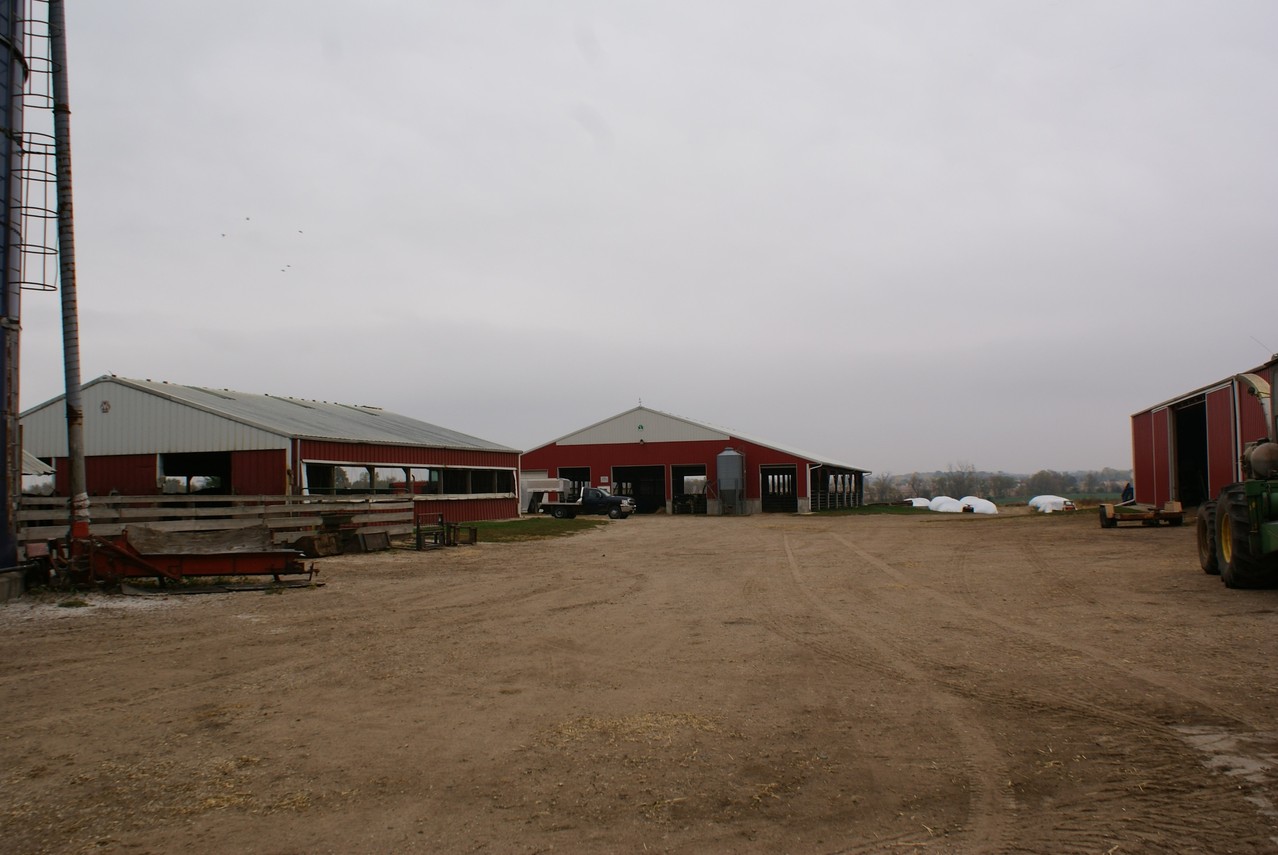 Nouveau bâtiment pour les génisses