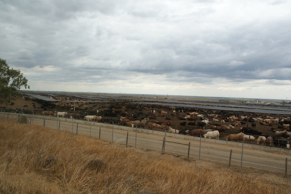 Harrys Ranch