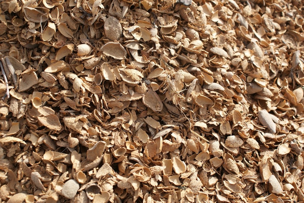 Coques d'amandes pour la litière