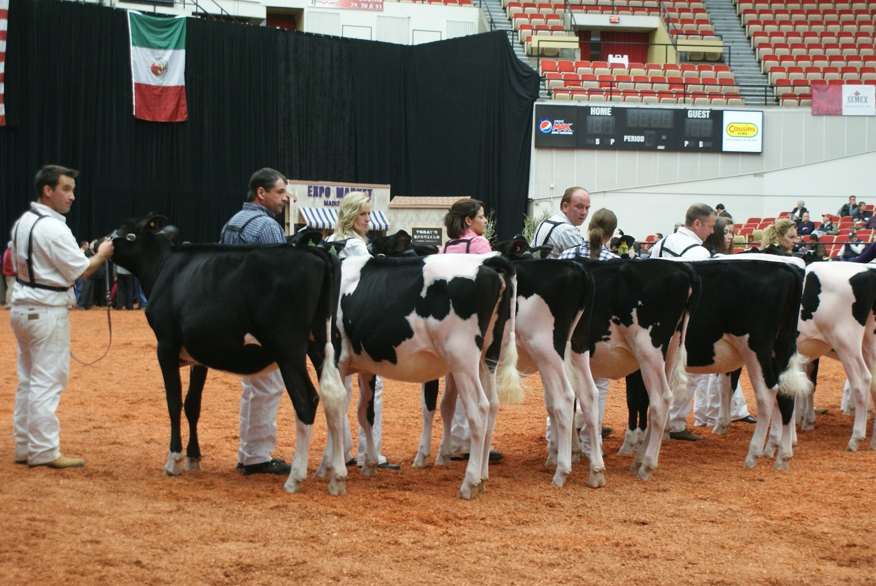 Une Goldwyn qui sera Mention Honorable