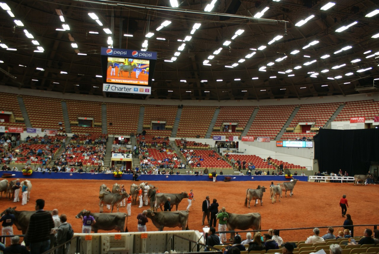 Madison Colliseum
