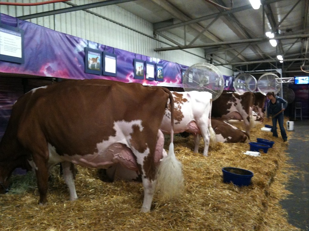 Stand Milksource
