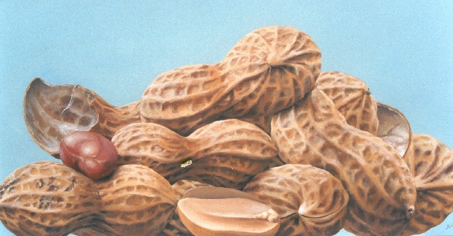 Jorge Luna, Cacahuates, óleo sobre tela, 80 x 150 cm. 