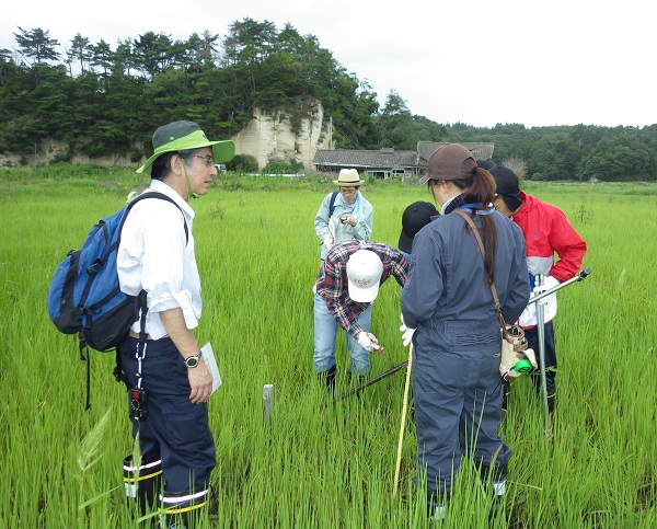 東日本大震災後の福島県南相馬市で、2011年より前に発生した津波の地質学痕跡（津波堆積物）を研究室のメンバーと一緒に調査しました