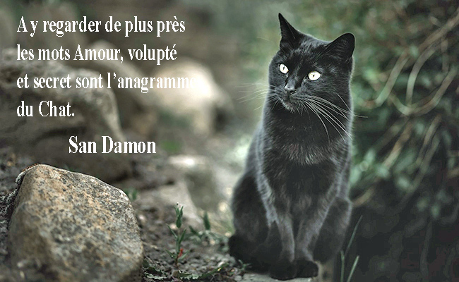 Poetry and quotations about Cats by San Damon