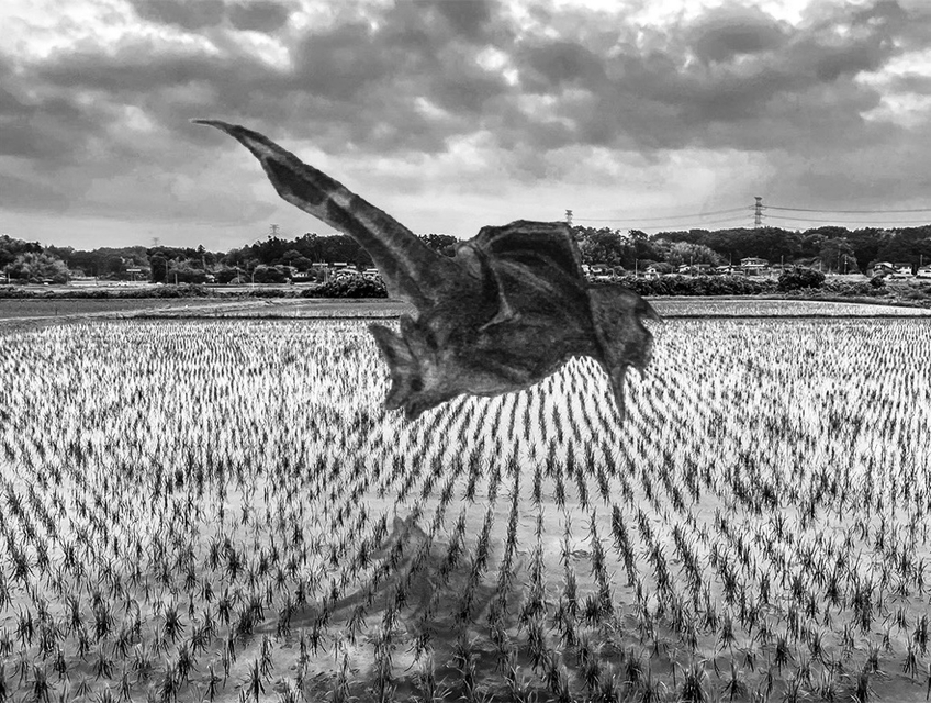 Selected Artists #1 Roya Ziba