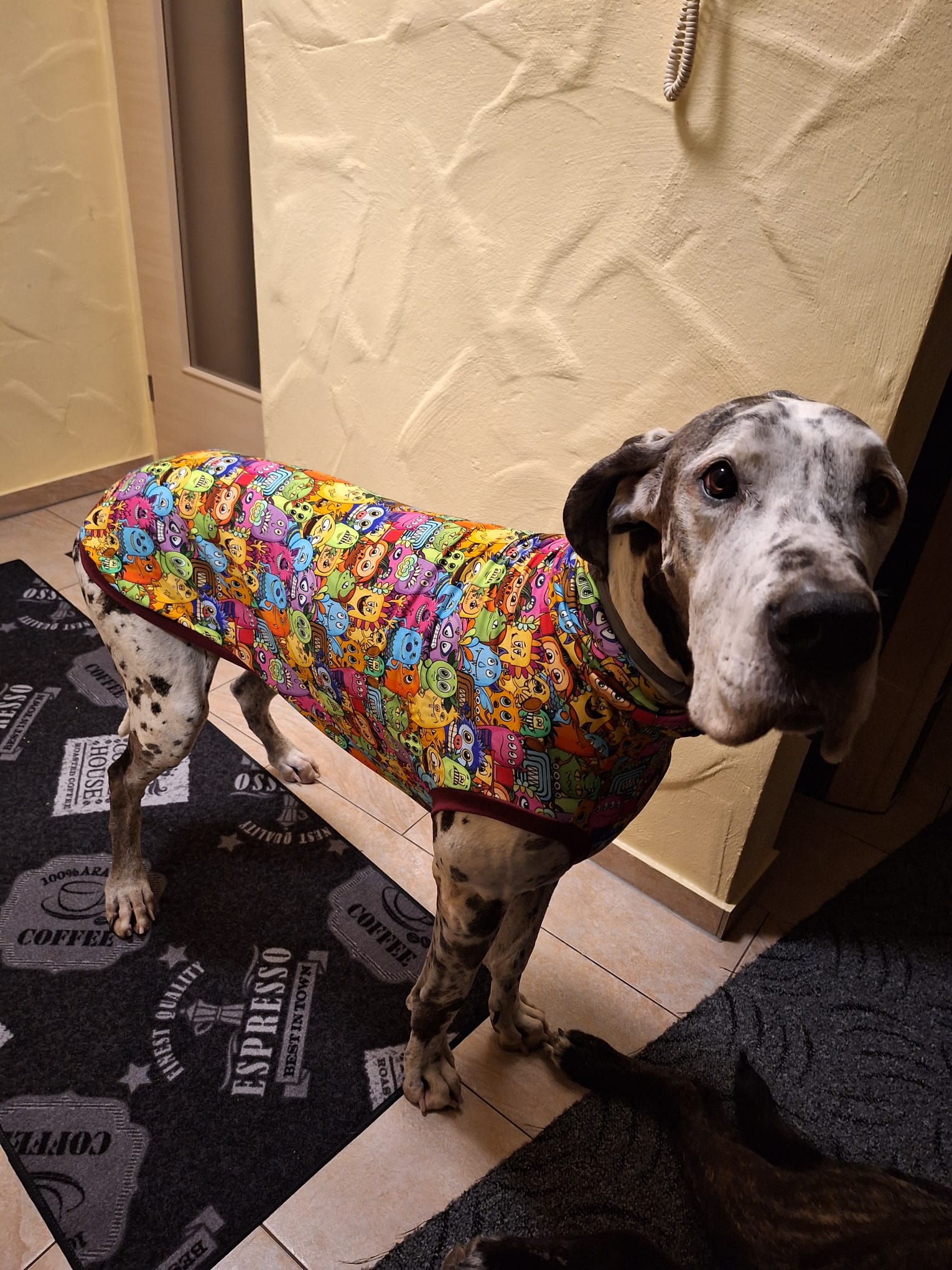 Schlafi Jersey für Deutsche Dogge
