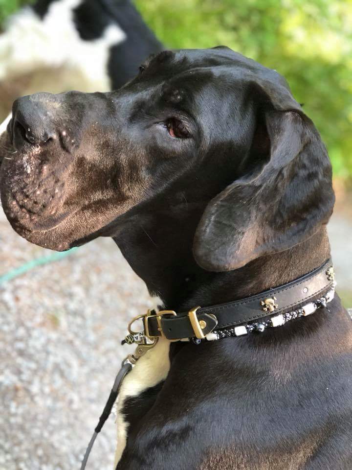 EM-Keramikhalsband mit Heilsteinen für Deutsche Dogge