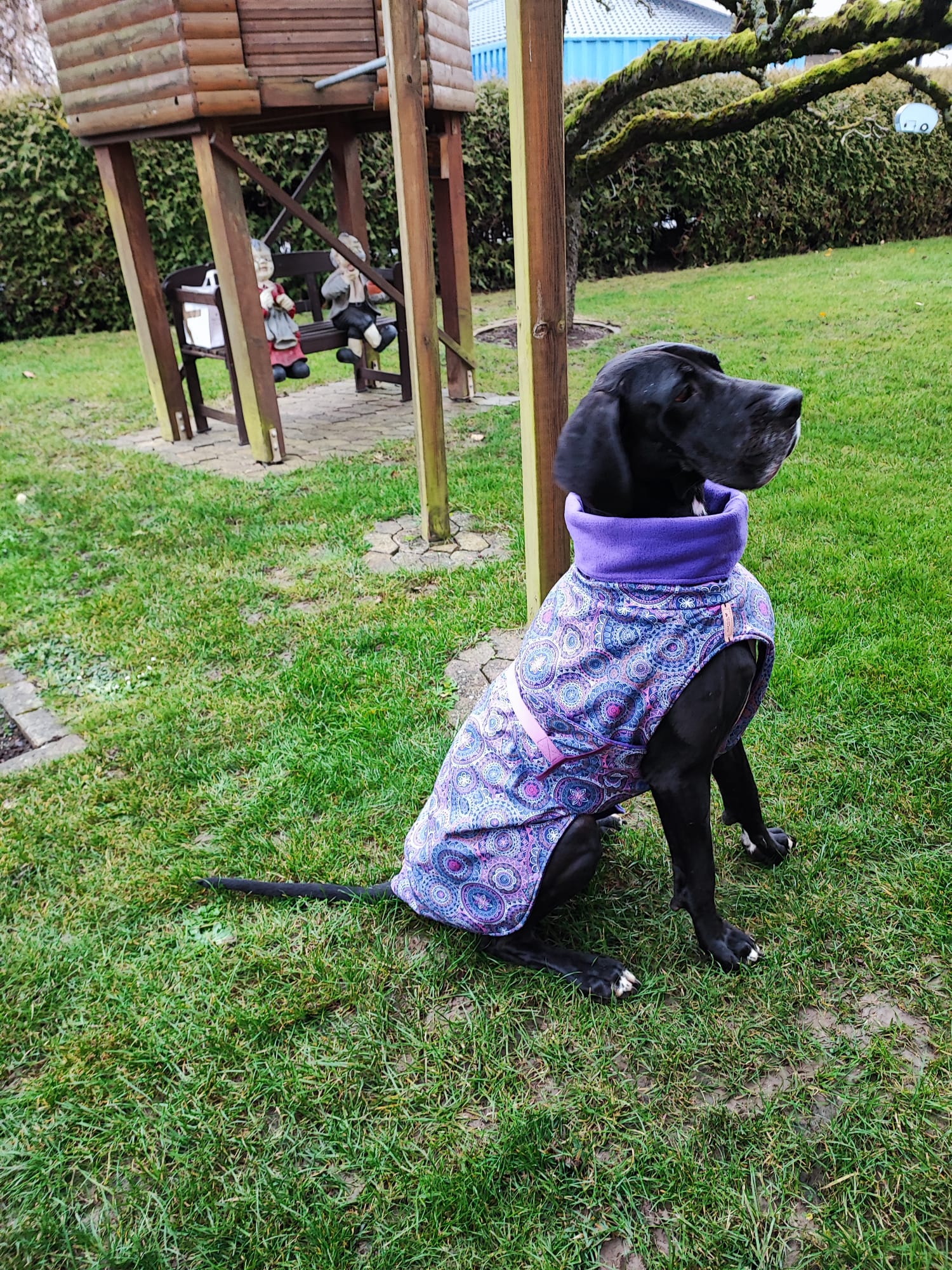 Deutsche Dogge mit maßgeschneiderten Hunde-Wintermantel