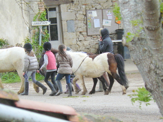 A La Marsale, des poneys, il y en a pour les grands, ... et pour les petits