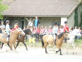 La carrière extérieure, près de l'enclos où les poneys sont rassemblés pour les soins