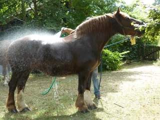 et un bon bain