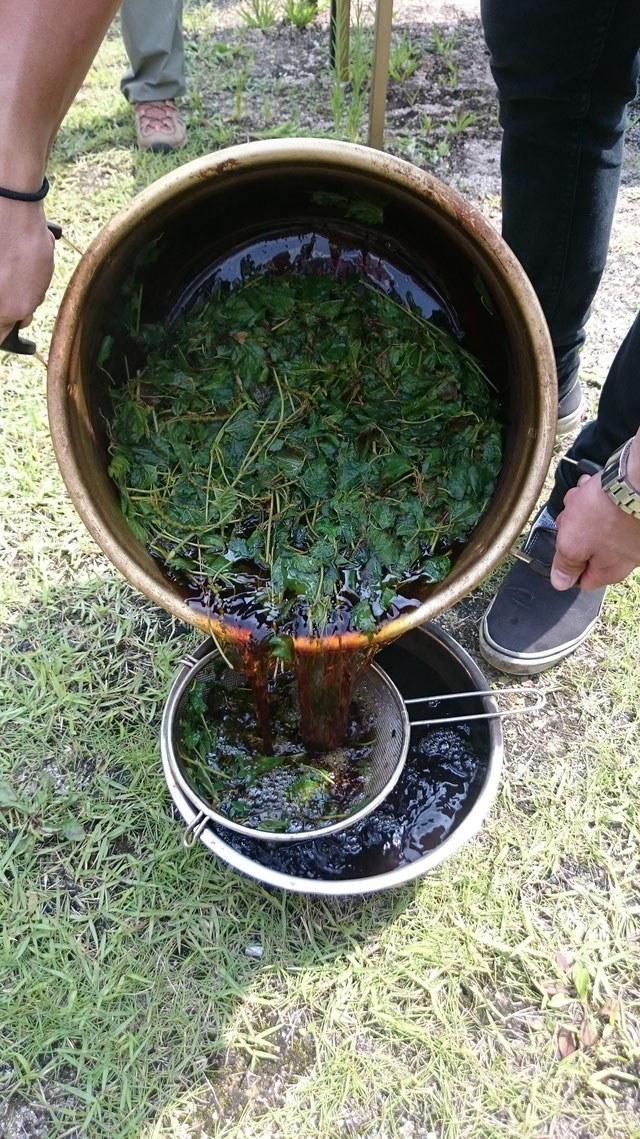 草木染め 抽出 煮出し