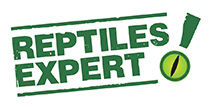Beleuchtungsexperte