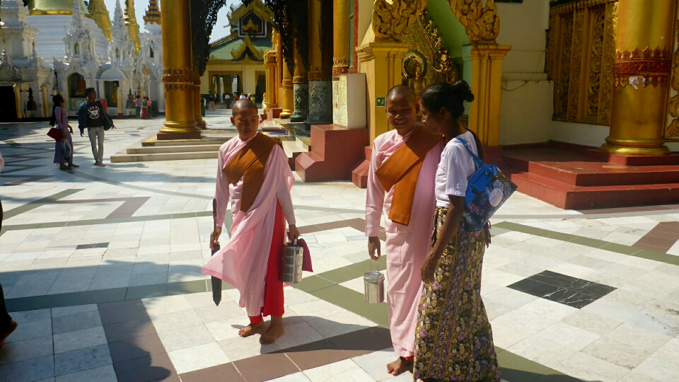 Bhikkhuni - buddhistische Nonnen in ihren rosarbarbenen dreiteiligen Roben (trichivara)