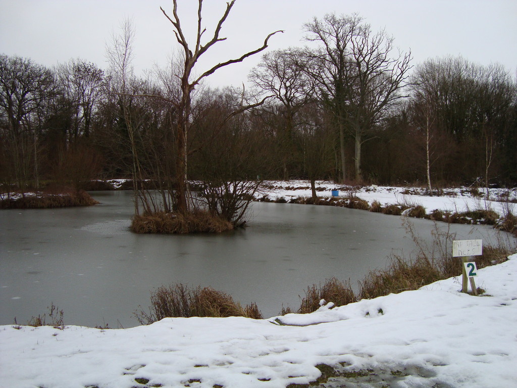 Frozen Pond