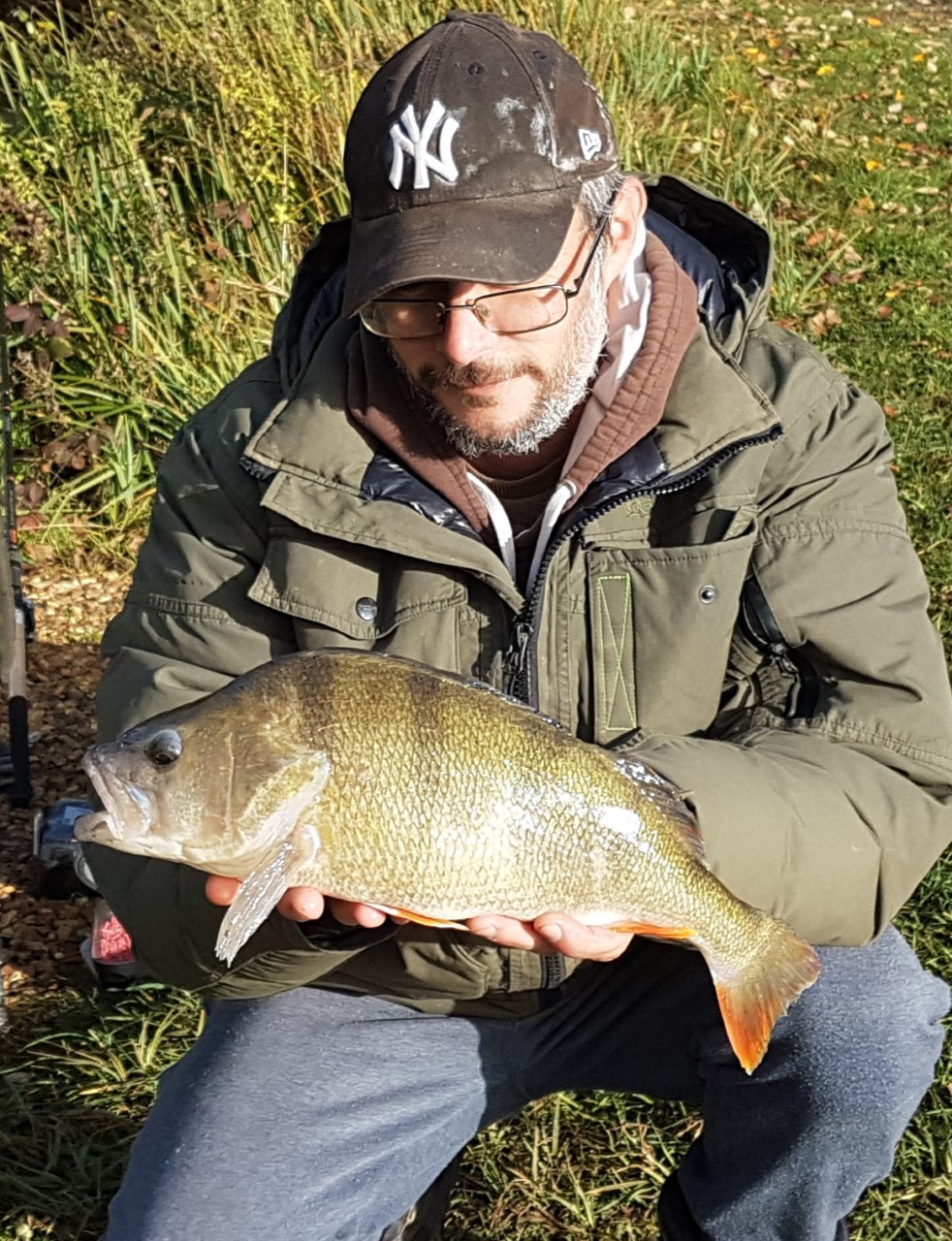 Perch