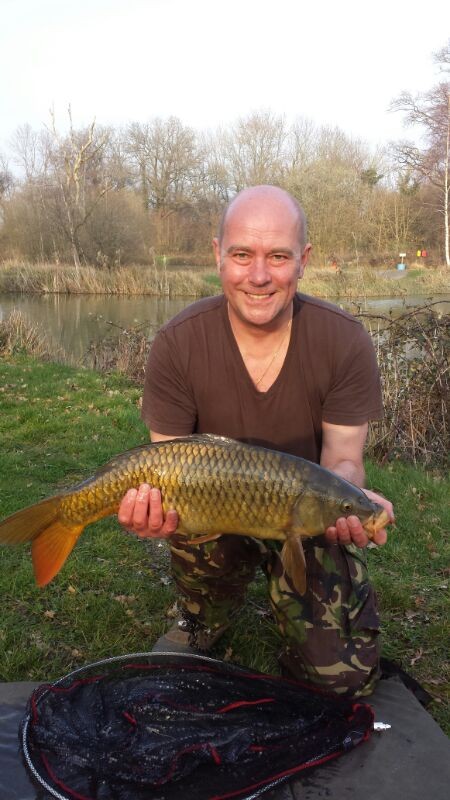 First timer Paul's golden coloured Common 
