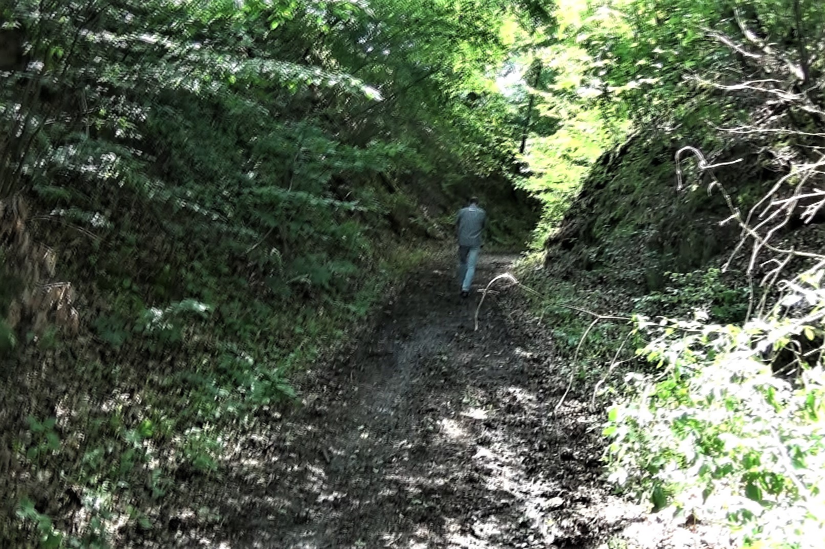 Hohlweg zum jüd. Friedhof...