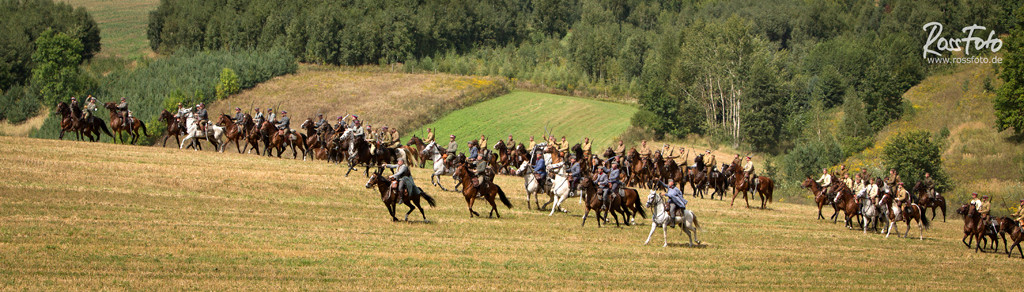 Bitwa pod Komarowem, Deutscher Kavallerieverband, RossFoto Dana Krimmling