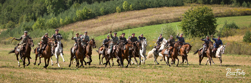 Bitwa pod Komarowem, Deutscher Kavallerieverband, RossFoto Dana Krimmling