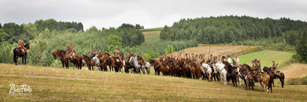 Bitwa pod Komarowem, Deutscher Kavallerieverband, RossFoto Dana Krimmling