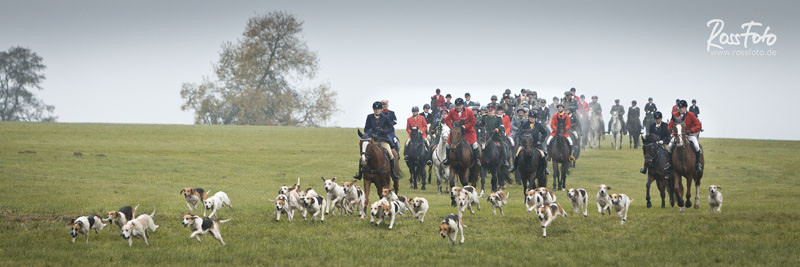 RossFoto Dana Krimmling; Schleppjagd Deutscher Kavallerieverband; Sigmaringen 2015; Pferdefotografie; Fotografie; Wanderreiten; Freizeitreiten; Jagdreiten; Kavallerie; Kavalleriereiten; Schleppjagd; Jagdhunde; Hundemeute; Meute; Jagd; Herbstjagd; Deutsche