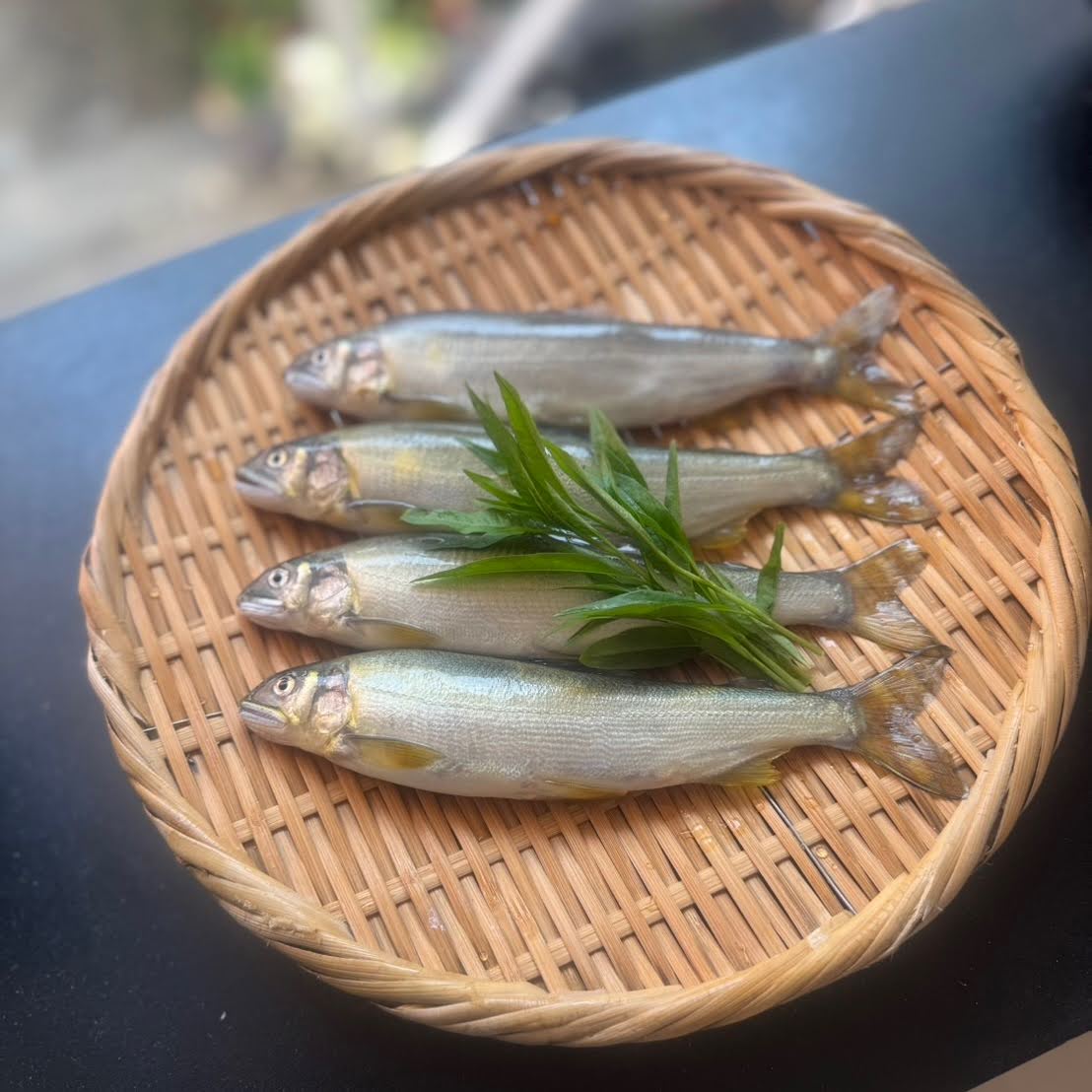 6月　鮎と蓼