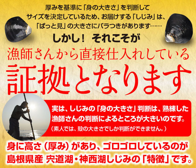 「ぱっと見」の大きさにはバラつきがありますが、それこそが漁師さんから直接仕入れしている証拠となります