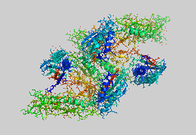 Clostridium Bakterien Protein