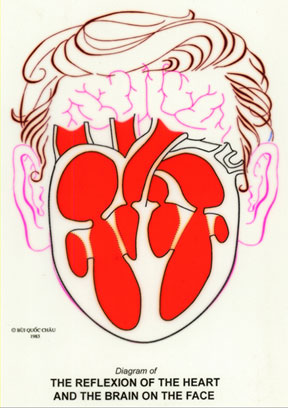 Dien Chan réflexologie du coeur sur le visage