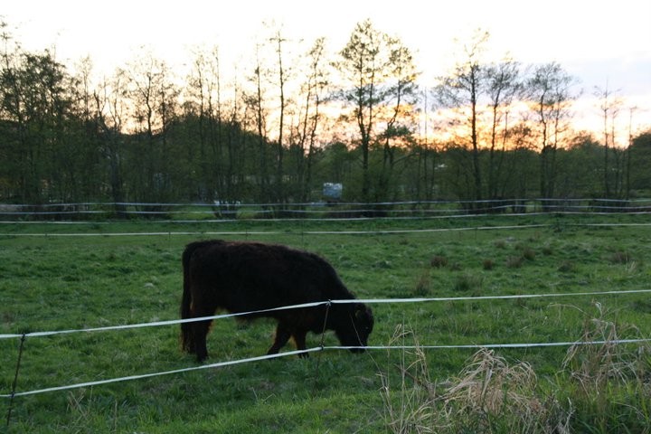 Hinter dem Haus