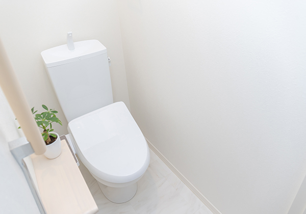 奈良でトイレ交換をするなら知っておきたい！トイレの清潔さと衛生管理