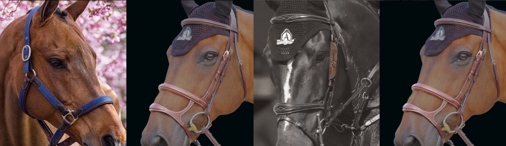 ブランド 中江物産株式会社 馬具 乗馬用品販売