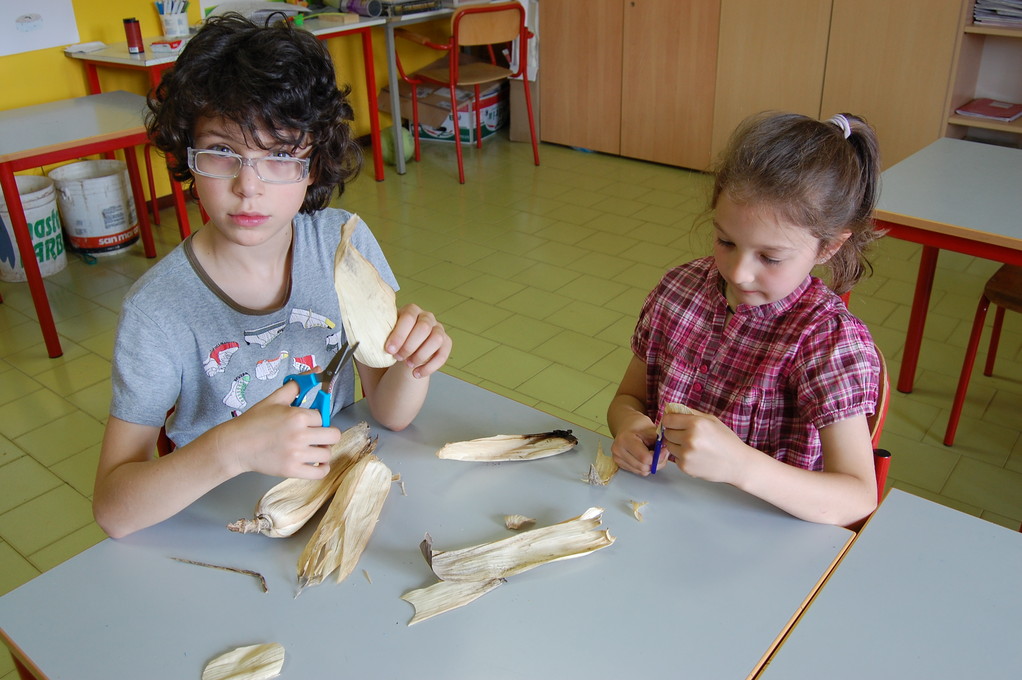 Per prima cosa abbiamo tagliato le brattee a forma di petalo.