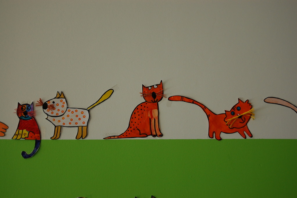 I gattini passeggiano per tutta la scuola !