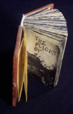 © Karen Baldner, The Plight of Plenty