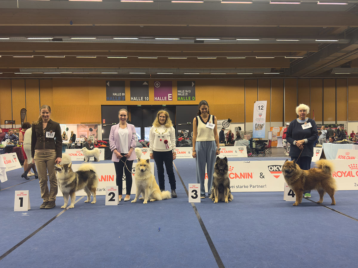 Hündinnen Championklasse