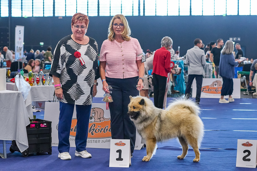 Rüde Jugendklasse 1. Platz