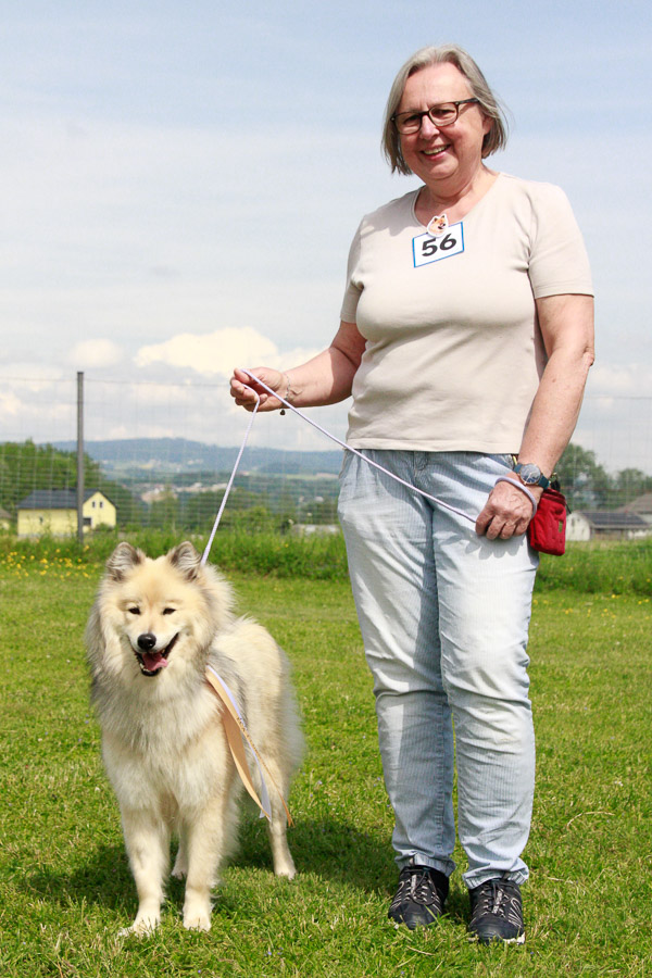 Hündinnen Offene Klasse