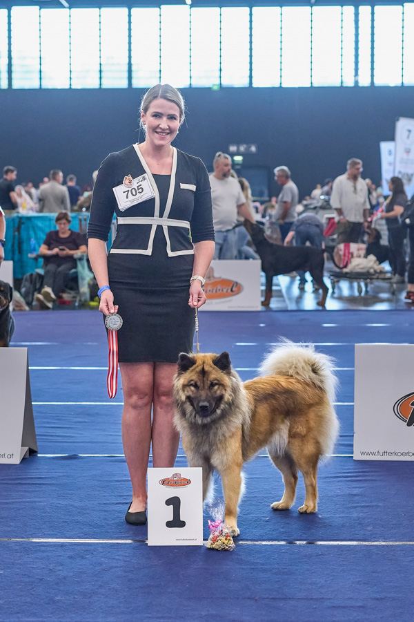 Hündin Championklasse 1. Platz