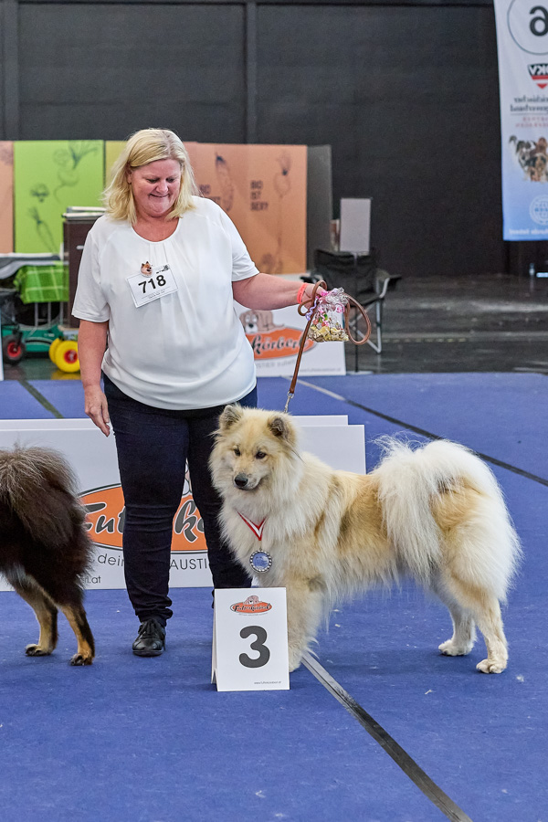 Hündin Offene Klasse 3. Platz